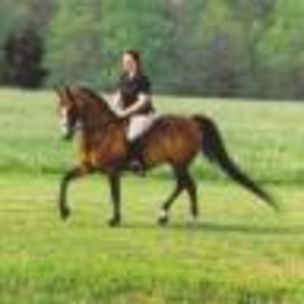 Meet your Posher, Julie